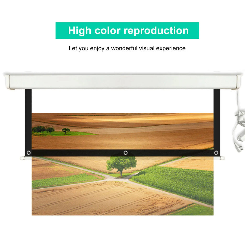 100'' Projector Screen